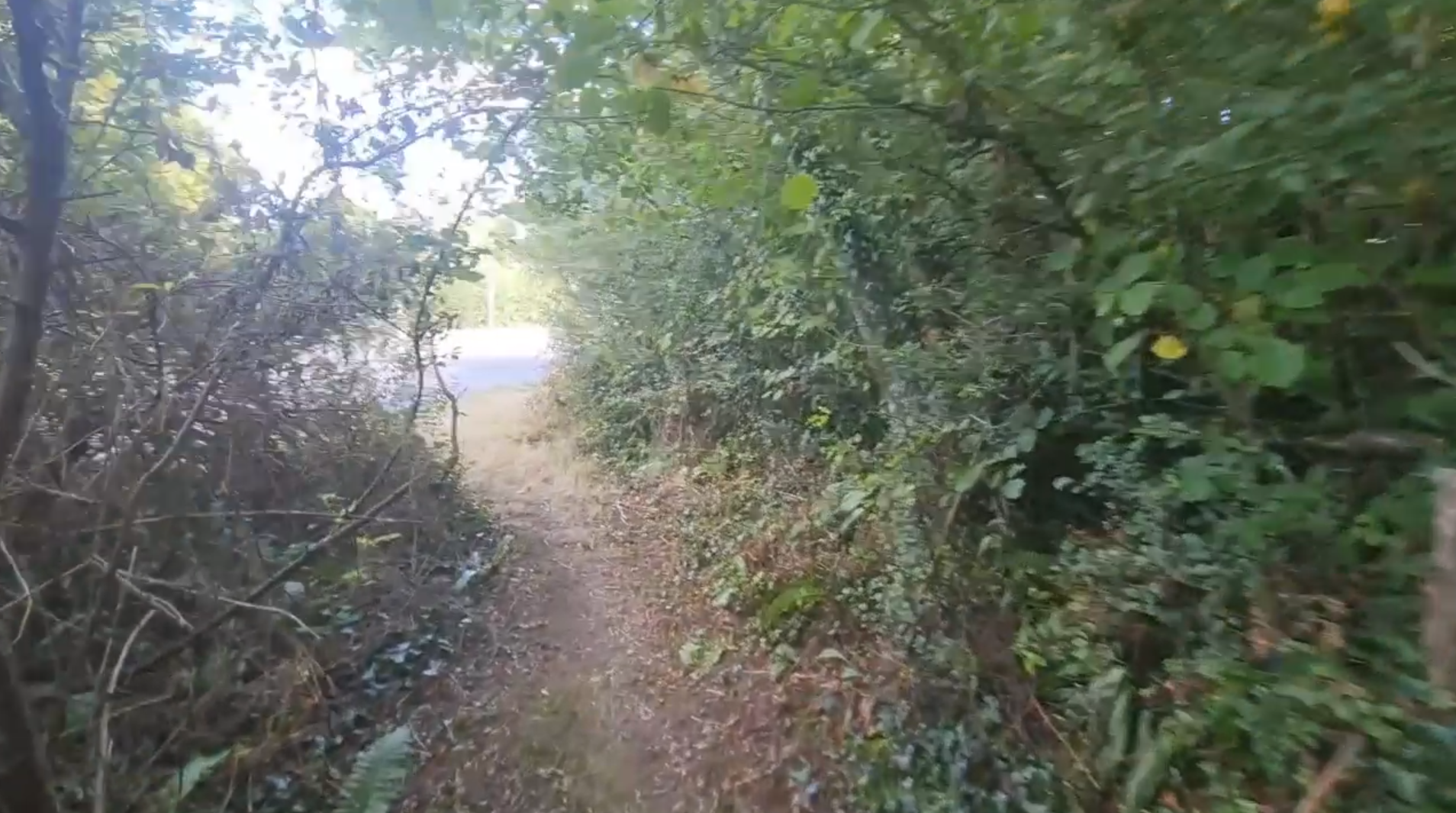 Wood Haven - Walking To The Tarka Trail